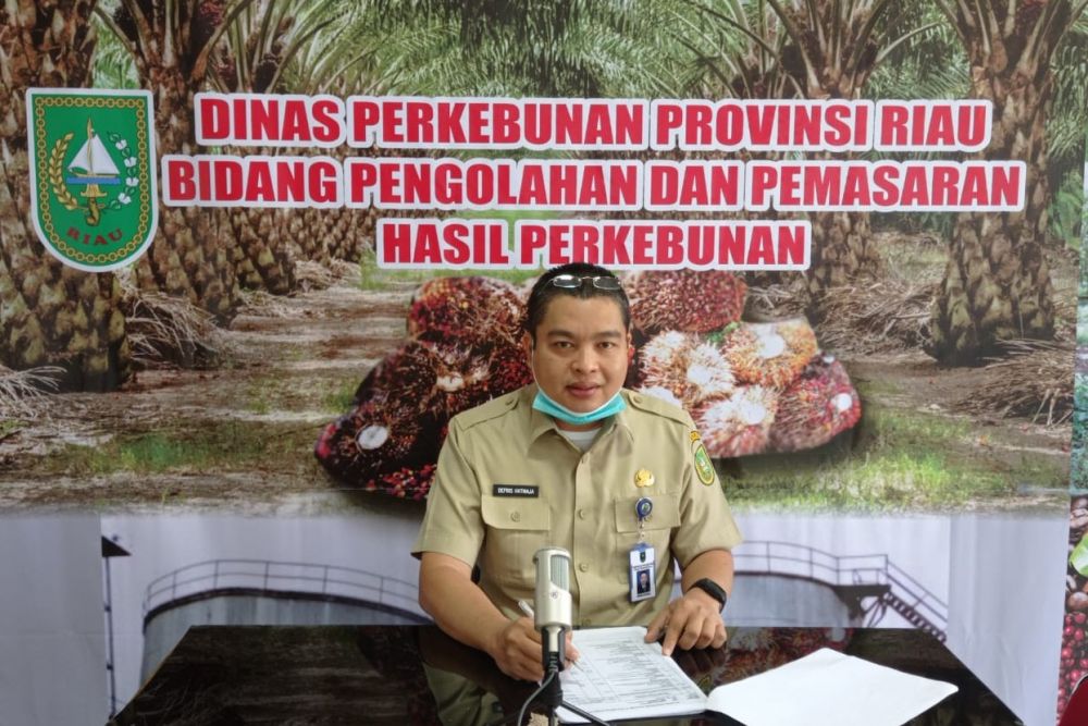 Kepala Bidang Pengolahan dan Pemasaran Dinas Perkebunan Provinsi Riau, Defris Hatmaja 